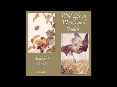 Wild Life in Woods and Fields