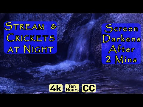 Babbling Brook Stream Sounds w/ Cricket Sounds At Night, 4k (ASMR, Babbling Brook Nature Sounds)