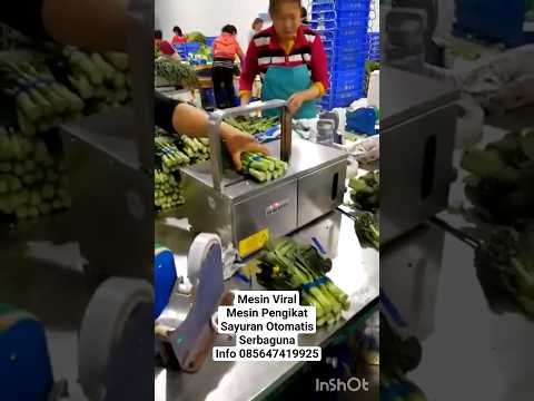 Mesin Pengikat Otomatis Sayur-sayuran vegatable strapping machine #viral #mesinpengikatotomatis