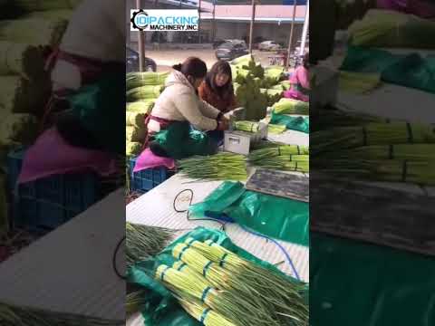 Mini type desktop cable roll fruit strapping sealing packing machine
