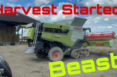 One-Day Farming: Silageing and Harvesting in Full Swing!