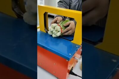 Vegetable and Floral Strapping Device