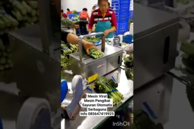 Automatic Vegetable Strapping Machine: Efficiently Bind Vegetables