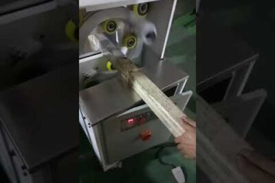 Compact horizontal wrapping machine