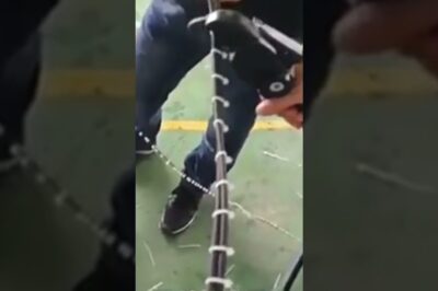 Portable automated ribbon strapping device efficiently secures packages.