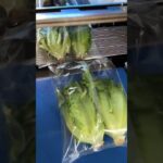 Automatic flow pack machine for packaging fruits and vegetables horizontally.