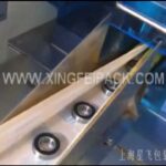 compact bearing packing machine xf z 250 for efficient packaging.