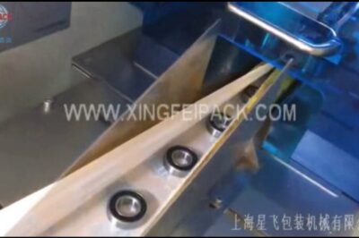Compact Bearing Packing Machine XF Z 250 for Efficient Packaging.