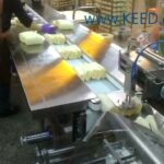 compact machine for packing steamed bun rolls in horizontal flow