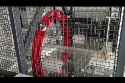 Compact orbital wrapper for packaging and securing items efficiently.