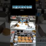 compact solution for packing hamburger buns efficient flow wrapping