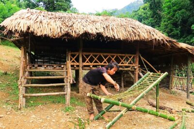 Creating a Bamboo Chair Alone in the Rainforest: Survival Guide (EP.79)