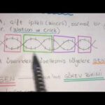explanation of dna and the genetic code
