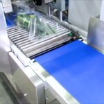 Horizontal Vegetable Packaging Machine