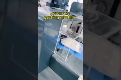 Horizontal Wrapping Flow Pack Machine