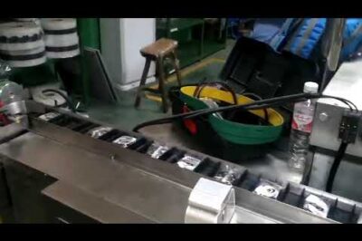 Less Than 12 Words: Automated Packaging Line for Bearings.
