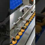 machine for packaging bread, cake, and biscuits automatically.
