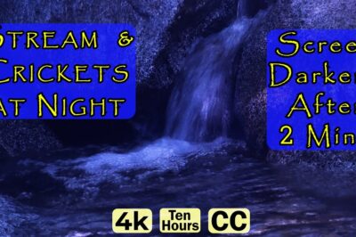Nighttime Brook and Cricket ASMR: Soothing Nature Sounds in 4K