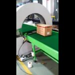 orbital wrapper for horizontal packaging of boxes.