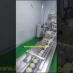 packaging machines: automatic, flow wrapper, horizontal, pillow packaging.