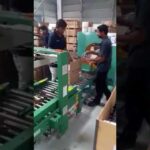 stretch wrap machine with horizontal orientation.
