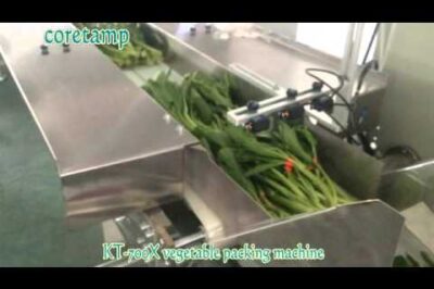 Wrap machine for horizontal packaging with continuous flow and sealing.